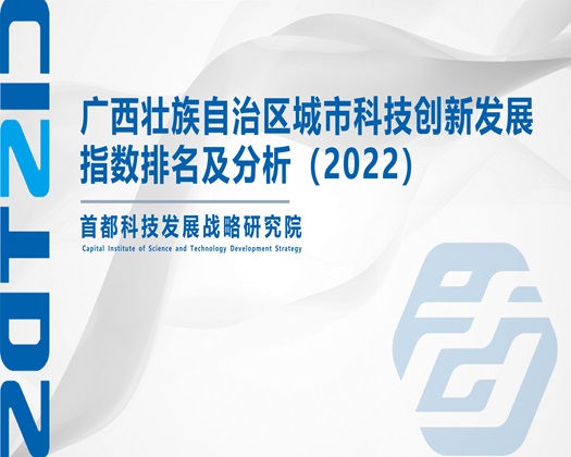 欧美小穴【成果发布】广西壮族自治区城市科技创新发展指数排名及分析（2022）